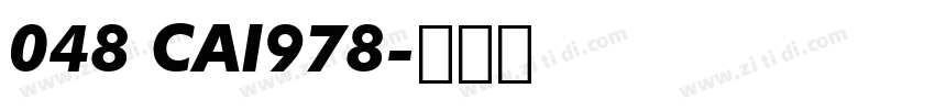 048 CAI978字体转换